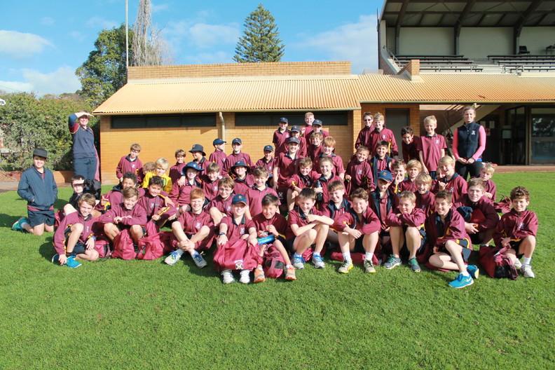 tree planting whole group